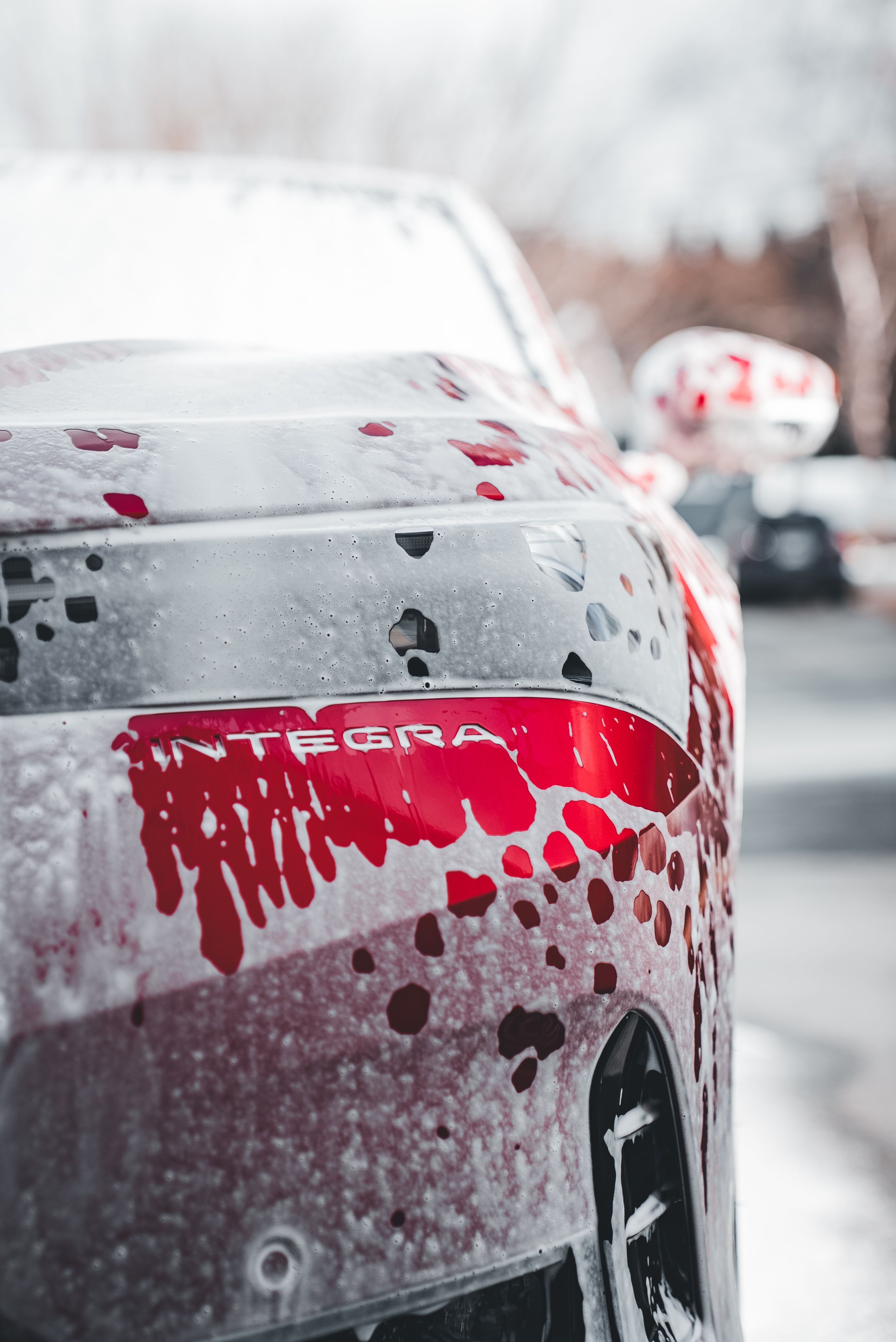 Mobile car detailing service